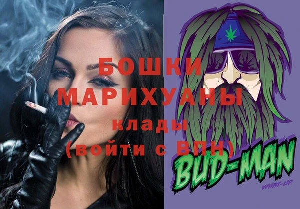 ПСИЛОЦИБИНОВЫЕ ГРИБЫ Богданович