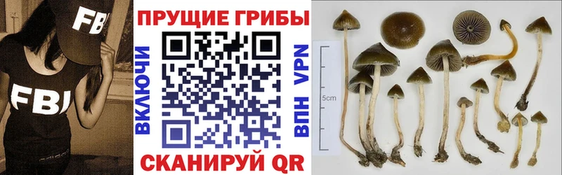 как найти закладки  darknet какой сайт  Галлюциногенные грибы прущие грибы  Сретенск 